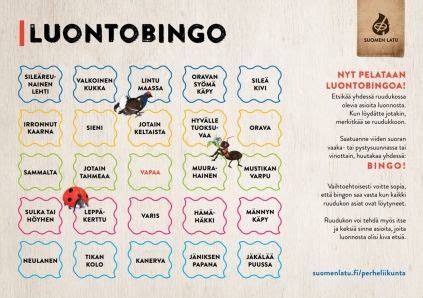 tulostettava bingo.